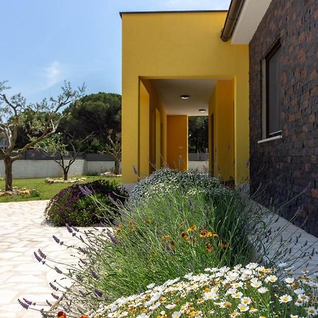 Modern Villa Eve In Medulin With Pool Near The Beach Exteriör bild
